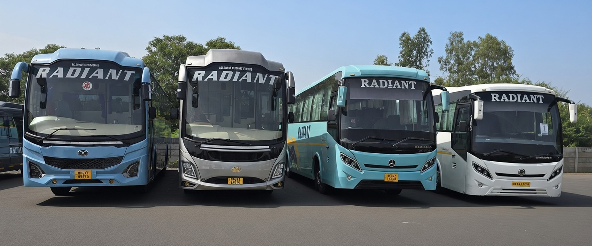 Radiant travels India