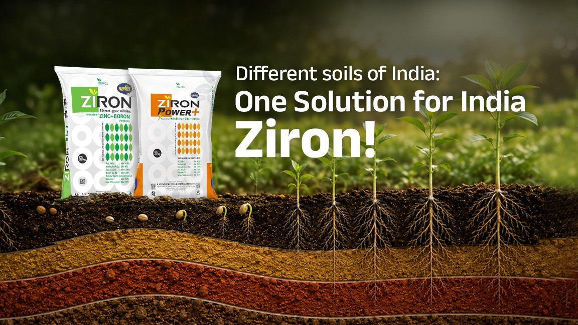 Soils of India: One Solution for India — Ziron