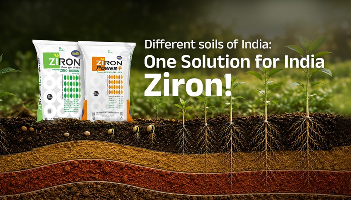 Soils of India