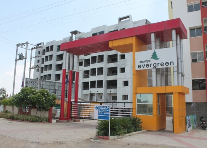 Soumya Evergreen